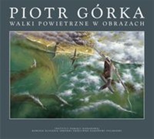 Picture of Walki powietrzne w obrazach