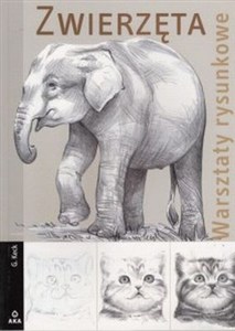 Obrazek Zwierzęta Warsztaty rysunkowe