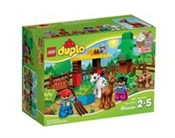 Lego Duplo... -  Książka z wysyłką do UK