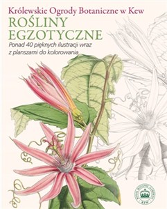 Obrazek Rośliny egzotyczne Królewskie Ogrody Botaniczne w Kew