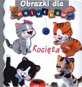 polish book : Kocięta. O... - Emilie Beaumont, Nathalie Belineau