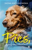Pies, któr... - Jagna Kaczanowska -  foreign books in polish 