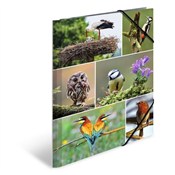 Teczka A4 ... - Ksiegarnia w UK