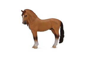 Picture of Koń Campolina Stallion Red Dun
