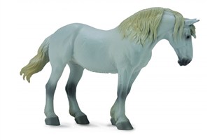 Picture of Ogier rasy campolina szary