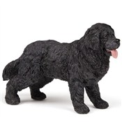 Polska książka : Nowofundla...