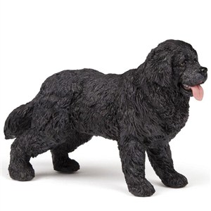 Obrazek Nowofundland