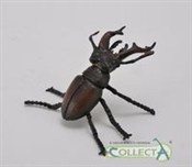 polish book : Jelonek ro...