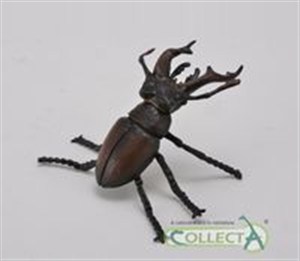 Picture of Jelonek rogacz