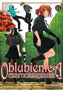 Obrazek Oblubienica czarnoksiężnika. Tom 11