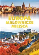 Europa mal... - opracowanie zbiorowe -  books in polish 