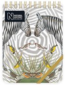 Kołonotes ... -  Polish Bookstore 