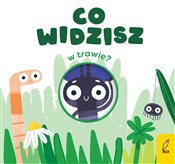 polish book : Co widzisz... - Patrycja Grześkowiak
