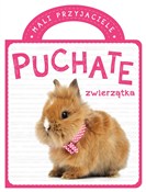 Mali przyj... - Opracowanie Zbiorowe -  foreign books in polish 