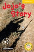Jojo's Sto... - Antoinette Moses -  Książka z wysyłką do UK