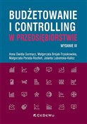 Książka : Budżetowan... - Anna Owidia Surmacz, Małgorzata Brojak-Trzaskowska, Małgorzata Porada-Rochoń