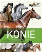 Konie. Ilu... -  Polish Bookstore 