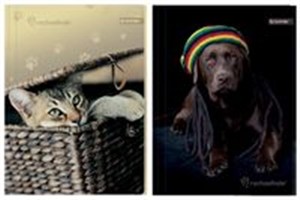 Obrazek Teczka z gumką A4