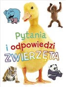 polish book : Pytania i ... - Opracowanie zbiorowe