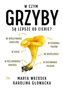Obrazek W czym grzyby są lepsze od ciebie?