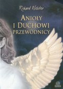 Anioły i d... - Richard Webster - Ksiegarnia w UK