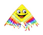 Książka : Latawiec