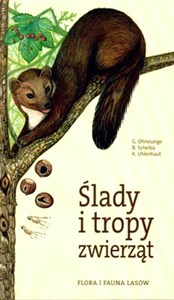 Picture of Ślady i tropy zwierząt Flora i fauna lasów