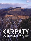 Bieszczady... - Tadeusz Budziński -  books in polish 