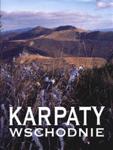 Obrazek Bieszczady-przewodnik