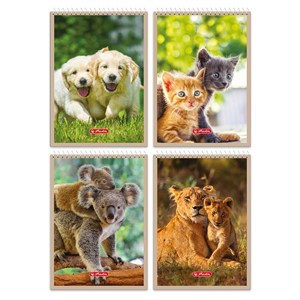 Obrazek Kołonotatnik A7/40K kratka Animals (20szt)