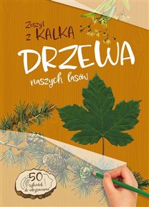 Obrazek Drzewa naszych Lasów Zeszyt z kalką