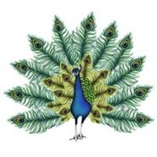 Karnet Swa... -  Polish Bookstore 