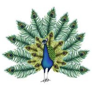 Obrazek Karnet Swarovski kwadrat Paw