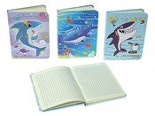 Zobacz : Notes 14,5...