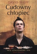 polish book : Cudowny ch... - David Sheff
