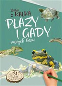 polish book : Płazy i ga... - Sekieta Katarzyna Kopiec