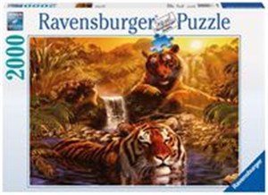 Picture of Puzzle Kąpiel tygrysów 2000