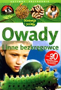 Obrazek Owady i inne bezkręgowce Aktywny przyrodnik