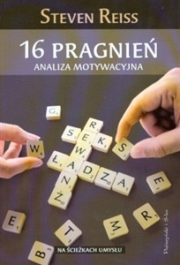 Picture of 16 Pragnień Analiza motywacyjna