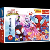 polish book : Puzzle Spi...