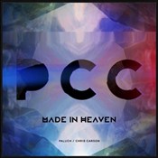 Made In He... - Paluch & Chris Carson -  books in polish 