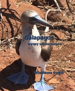 Picture of Galapagos - wyspy odczarowane