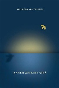 Obrazek Zanim zniknie cień