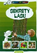 Sekrety la... - Grażyna Maternicka -  books from Poland