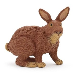 Picture of Królik brązowy