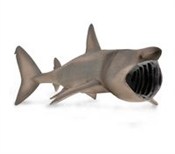 Długoszpar... -  Polish Bookstore 