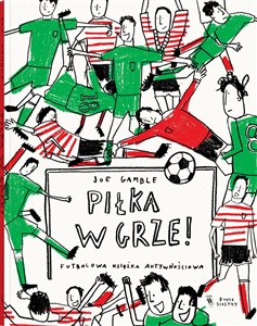 Obrazek Piłka w grze
