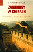 Polska książka : Zagubiony ... - Maarten J. Troost