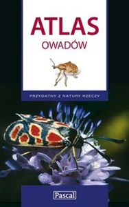 Obrazek Atlas owadów