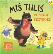 Miś Tuliś ... - David Melling -  books from Poland